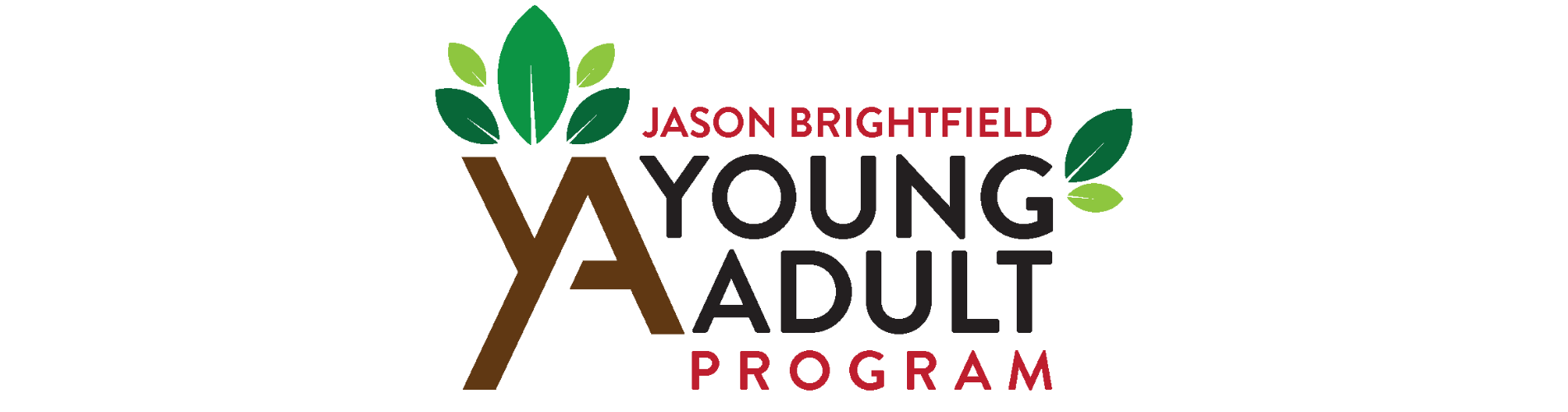 Jason Brightfield Young Adult Program